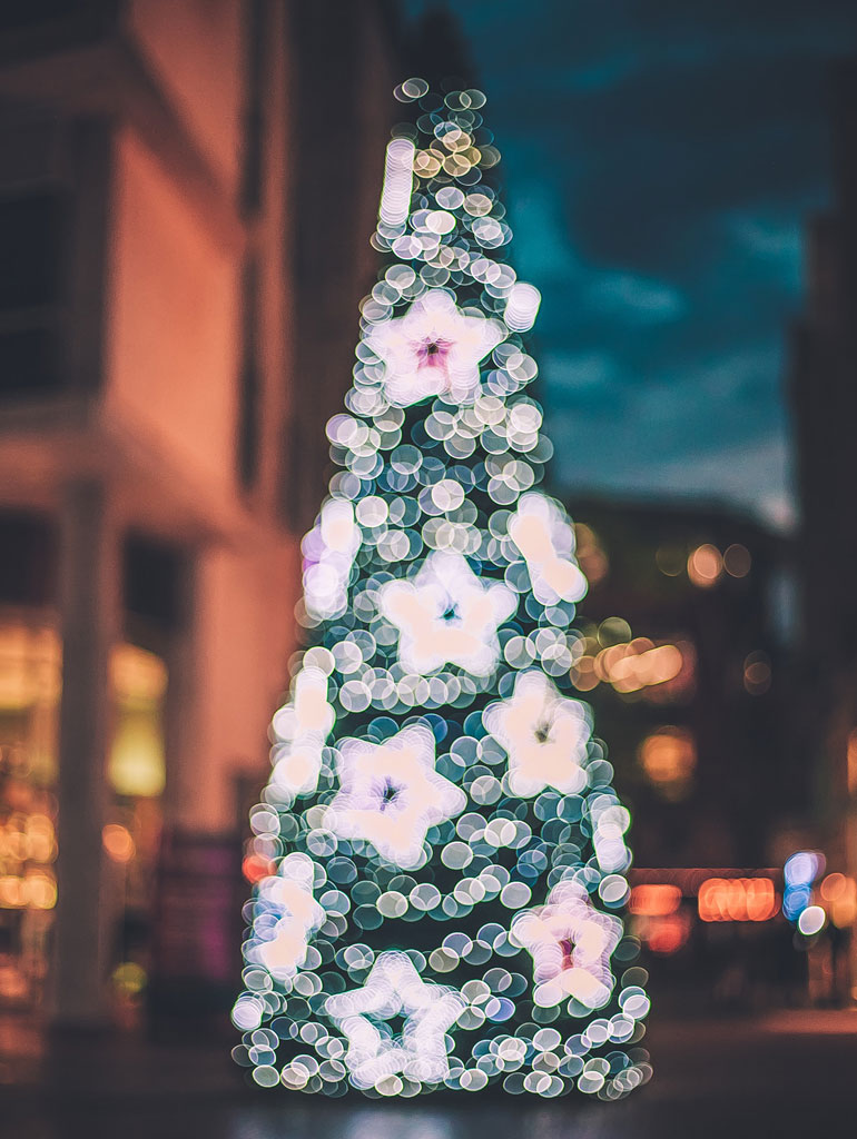 Festive lights on Christmas tree