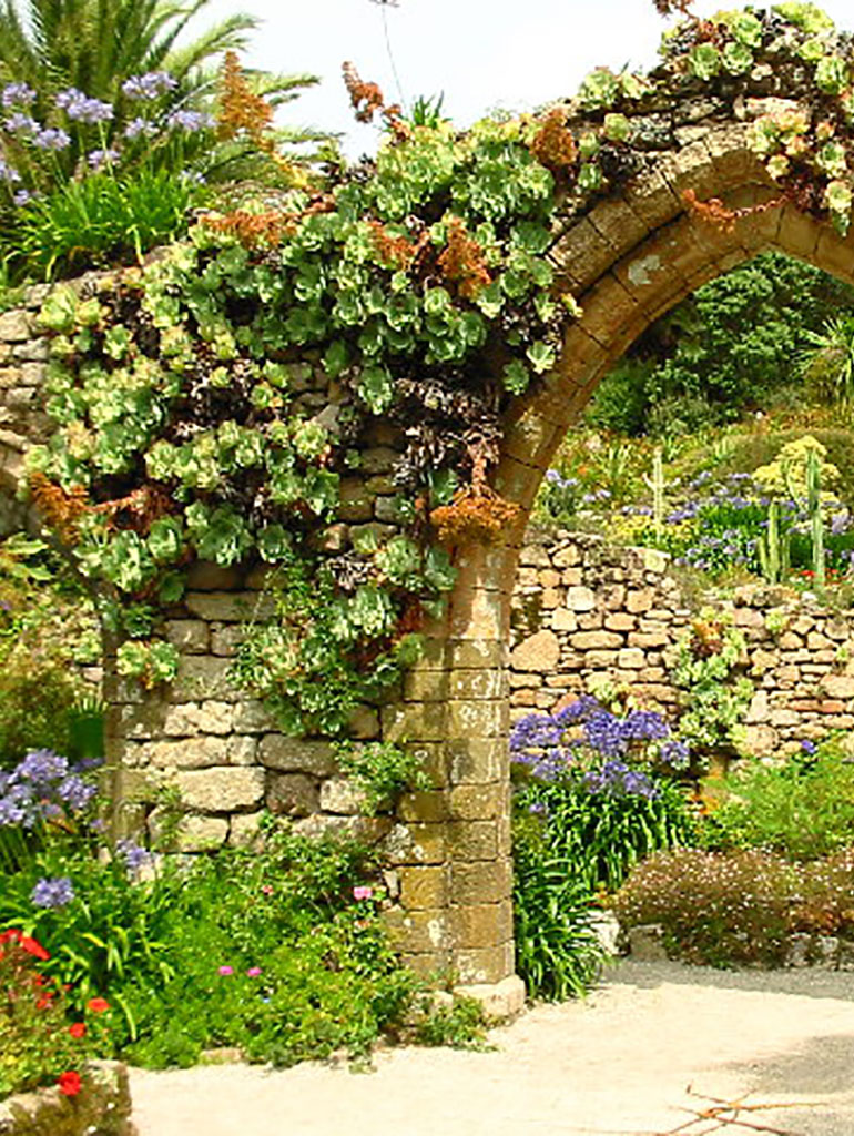 Tresco Abbey Gardens