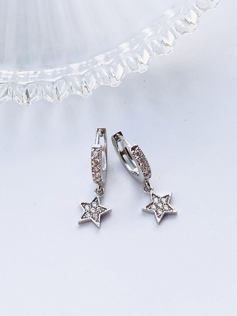 Silver encrusted earrings
