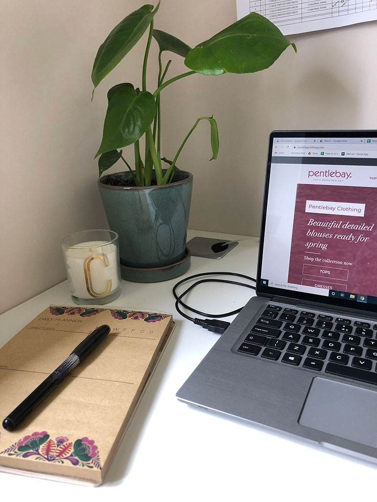 Office desk plants